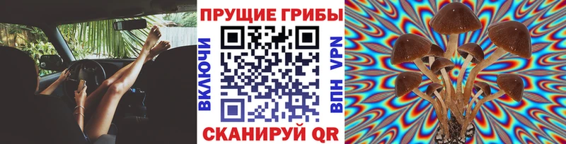 Галлюциногенные грибы прущие грибы  МЕГА как зайти  Чебоксары 
