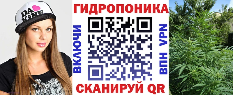 ОМГ ОМГ зеркало  Чебоксары  Шишки марихуана Bruce Banner 